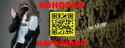 сатива Обь