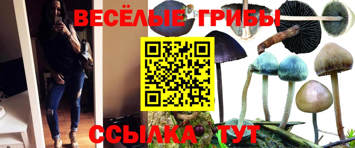 Псилоцибиновые грибы Magic Shrooms Сибай